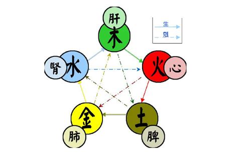 陽五行|五行(對萬事萬物的取象比類):簡介介紹,涵義解析,初始。